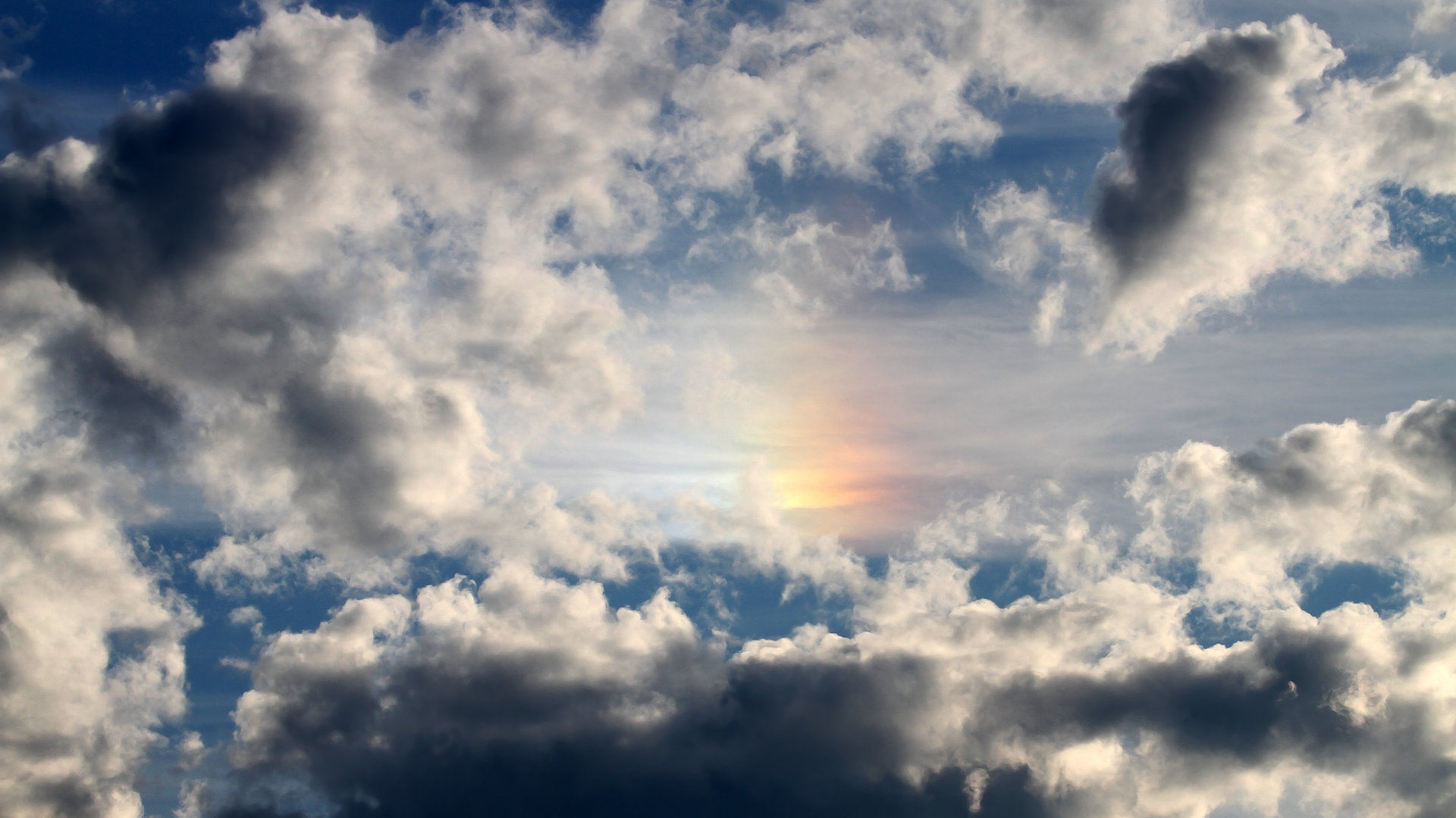 下载开云-同曦队防守体系调整收到成效，同曦队老板