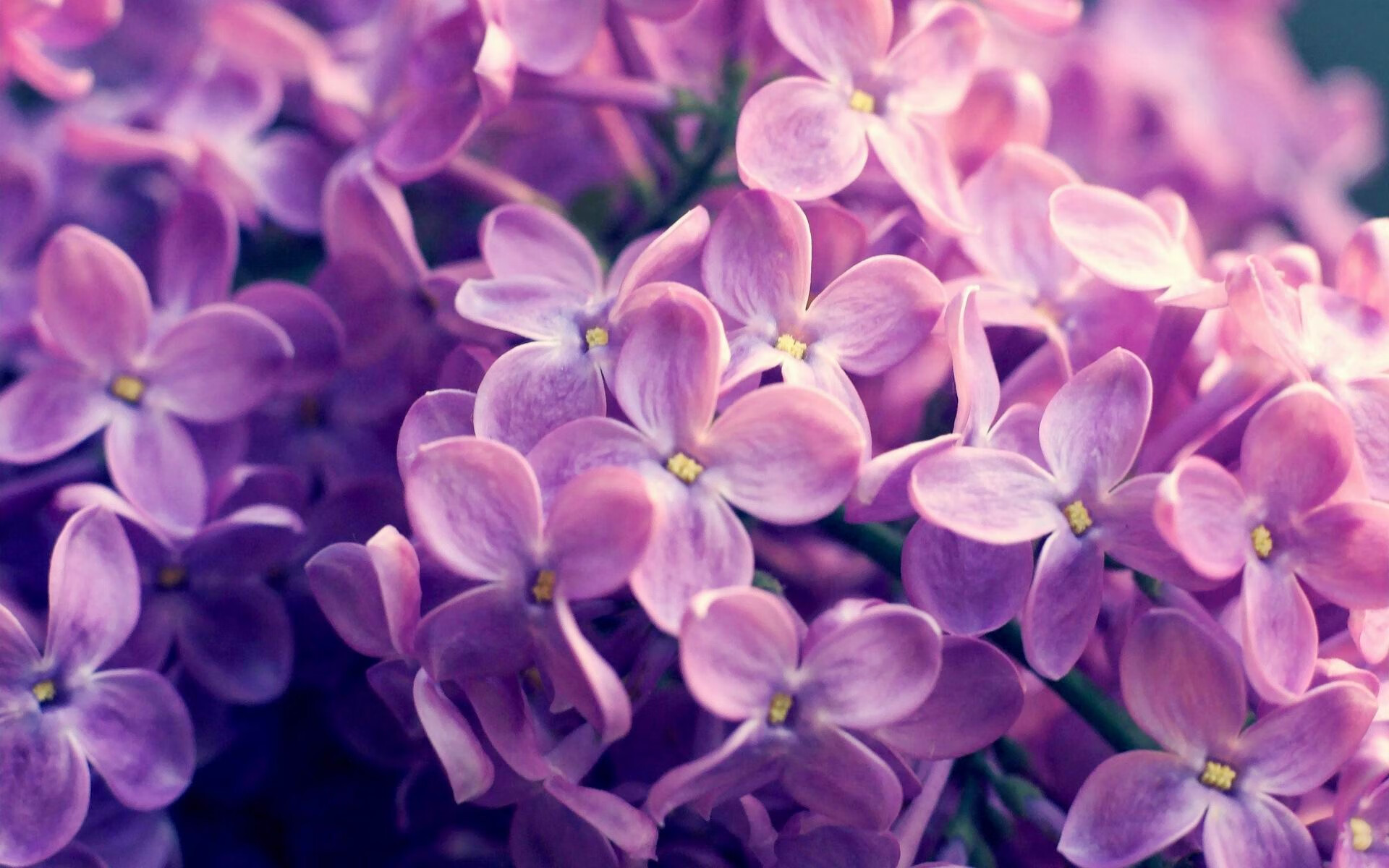 奥格斯堡主场惨败,保级形势严峻,奥格斯堡球衣2020