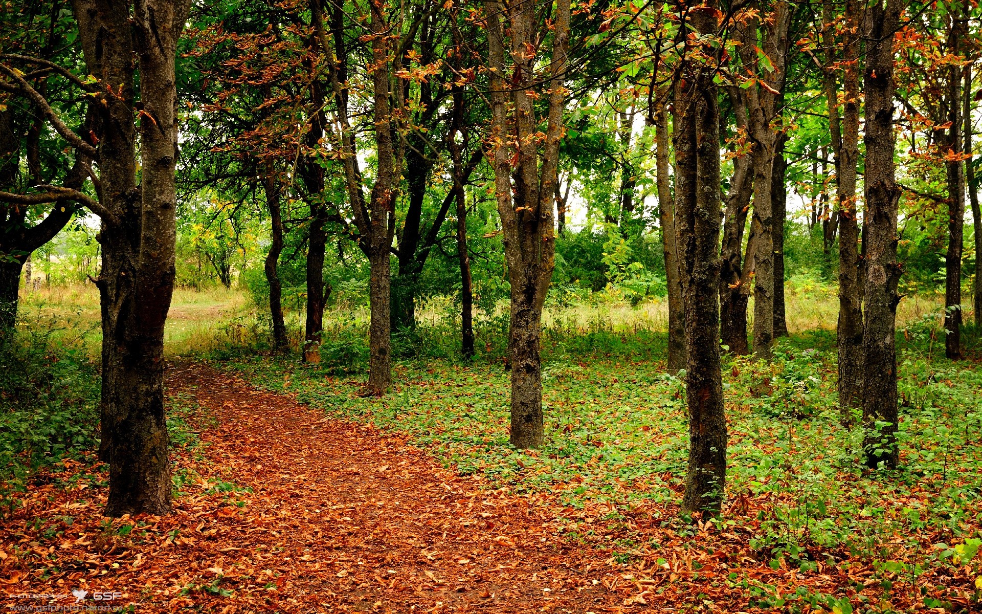 意外结果出炉,反转战术收获翻天覆地胜利,反转比赛