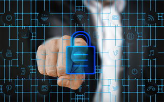 开云体育网址-体育特许经营管理制度构建与案例研究，体育行业特有职业培训试点单位