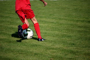 开云体育app安全下载-意甲裁判语义辅助判罚系统提升比赛公平性研究，意甲裁判球衣赞助商