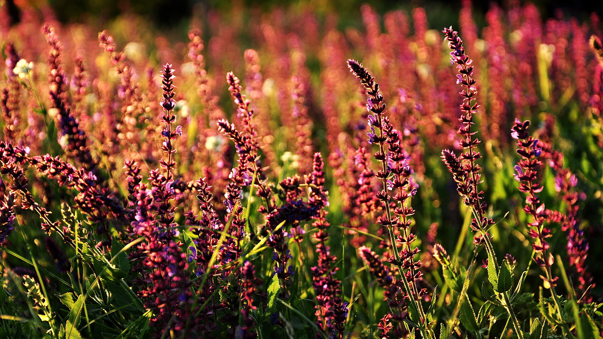 体育新闻中心上线体育赛事热点舆情实时监控系统,体育新闻资讯