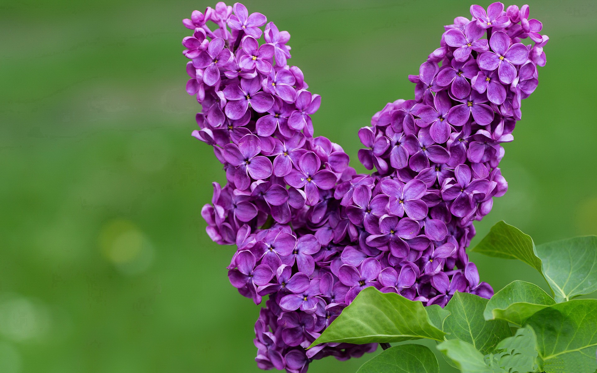 开云体育-技术数据对比显示提升趋势，数据对比增长率怎么做