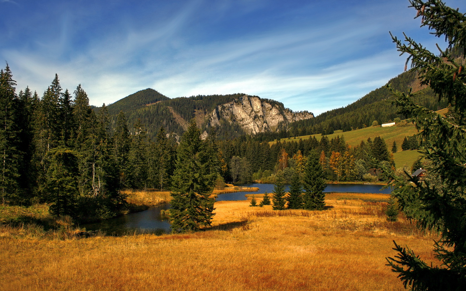 新加坡乒乓选手迎来突破,夺得金牌,新加坡乒乓球队