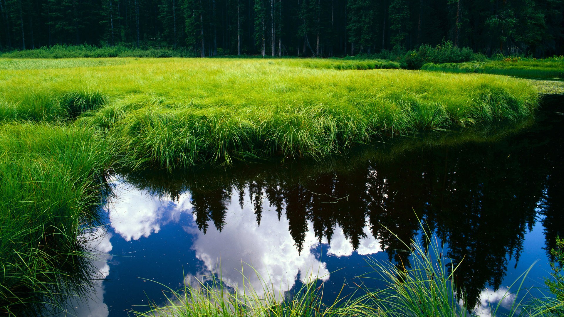 欧洲杯战术演变:变化多端,精彩不断!,欧洲杯技术分析