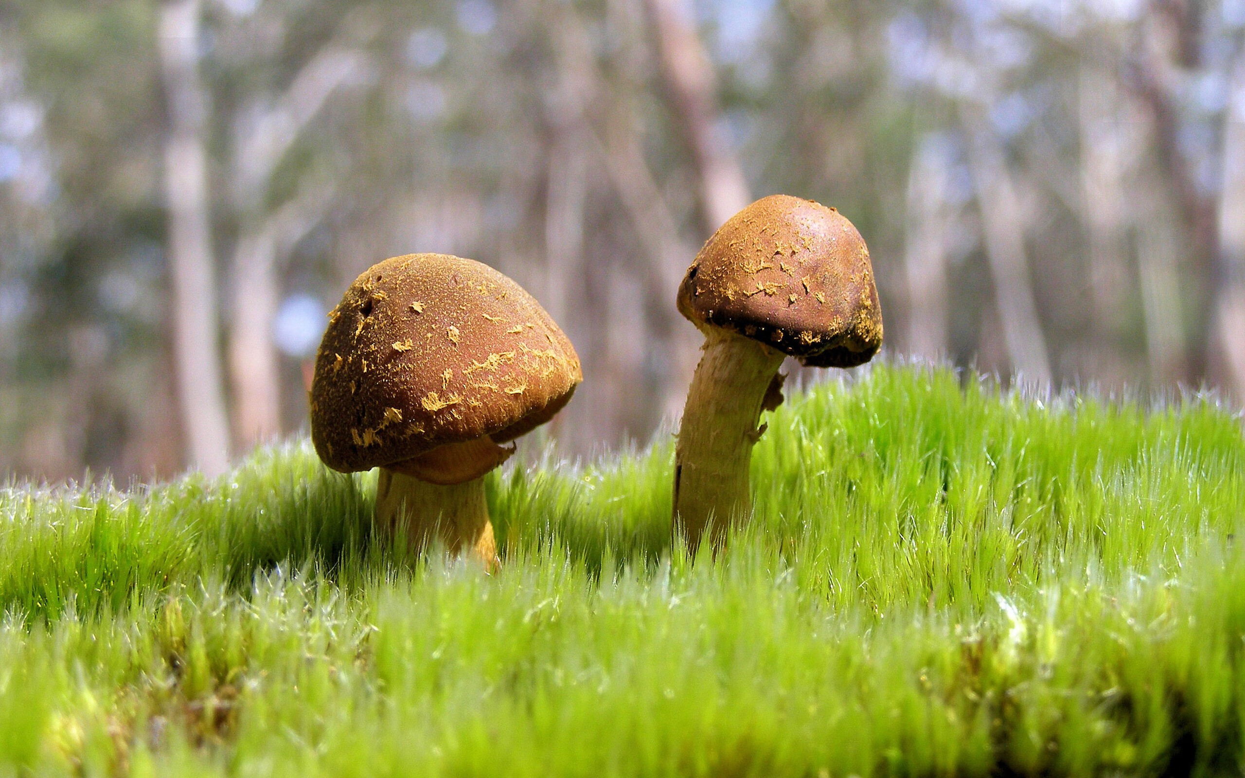 kaiyun sports app-蝶泳赛道希腊新秀闪耀亮相，蝶泳 决赛